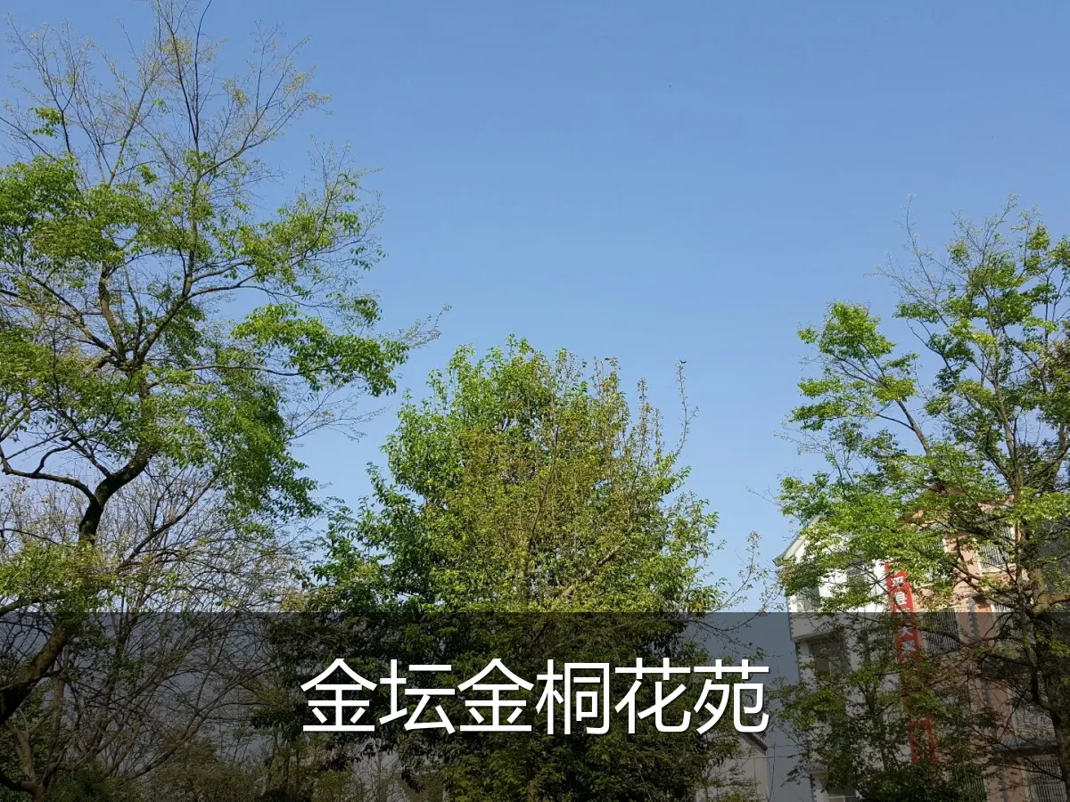 金坛金桐花苑